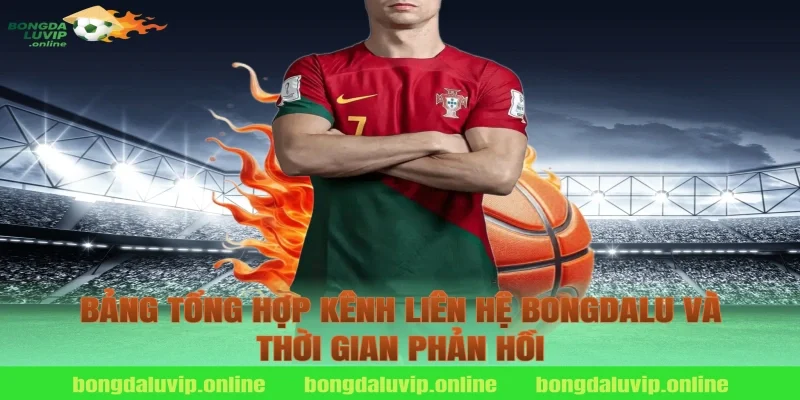 Bảng Tổng Hợp Kênh Liên Hệ Bongdalu Và Thời Gian Phản Hồi