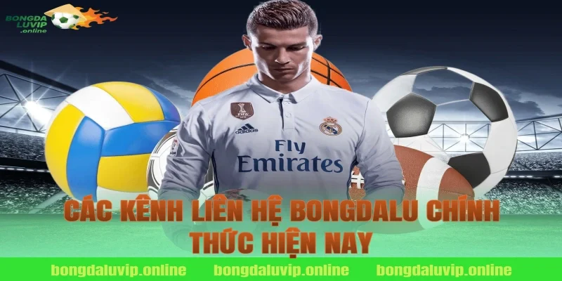 Các Kênh Liên Hệ Bongdalu Chính Thức Hiện Nay