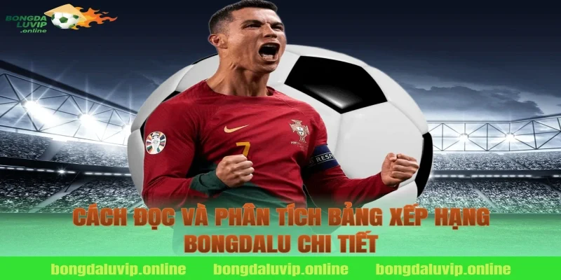 Cách đọc và phân tích bảng xếp hạng bongdalu chi tiết