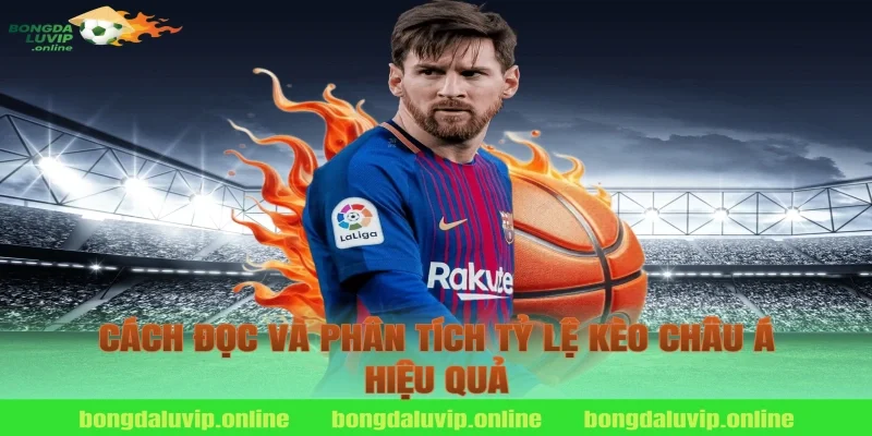 Cách đọc và phân tích tỷ lệ kèo châu á hiệu quả