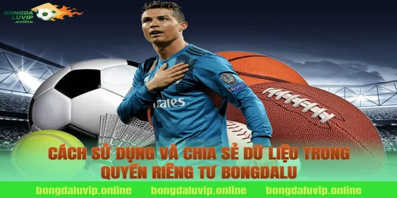 Cách sử dụng và chia sẻ dữ liệu trong quyền riêng tư bongdalu