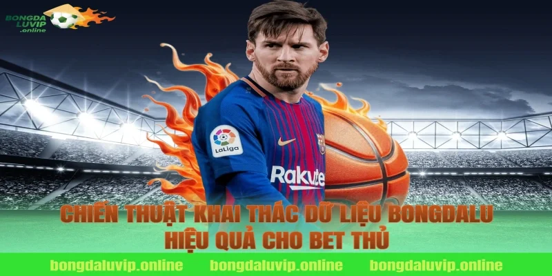 Chiến thuật khai thác dữ liệu Bongdalu hiệu quả cho bet thủ