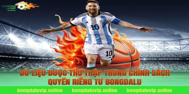 Dữ liệu được thu thập trong chính sách quyền riêng tư bongdalu
