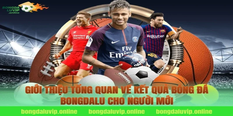 Giới thiệu tổng quan về kết quả bóng đá bongdalu cho người mới