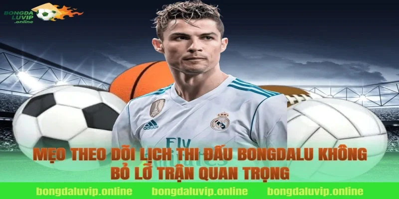 Mẹo Theo Dõi Lịch Thi Đấu Bongdalu Không Bỏ Lỡ Trận Quan Trọng