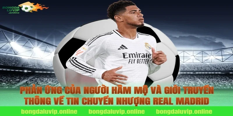 Phản Ứng Của Người Hâm Mộ Và Giới Truyền Thông Về Tin Chuyển Nhượng Real Madrid