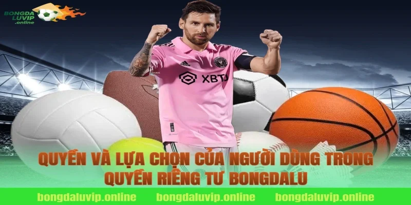 Quyền và lựa chọn của người dùng trong quyền riêng tư bongdalu
