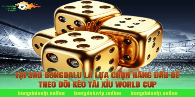 Tại Sao Bongdalu Là Lựa Chọn Hàng Đầu Để Theo Dõi Kèo Tài Xỉu World Cup