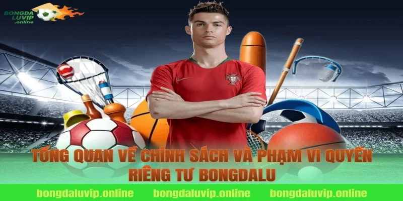 Tổng quan về chính sách và phạm vi quyền riêng tư bongdalu