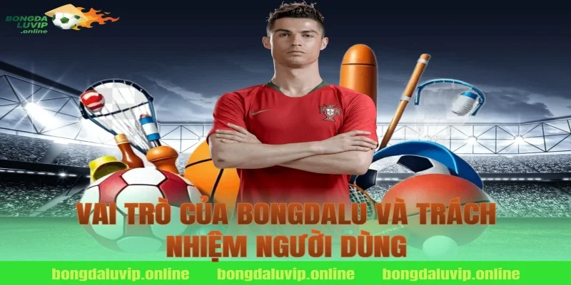 Vai trò của bongdalu và trách nhiệm người dùng