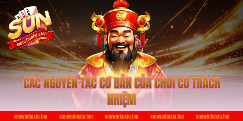Các nguyên tắc cơ bản của chơi có trách nhiệm